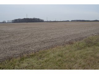 Property photo 20 - LAND AUCTION, 77 Acres offered in 3 Tracts